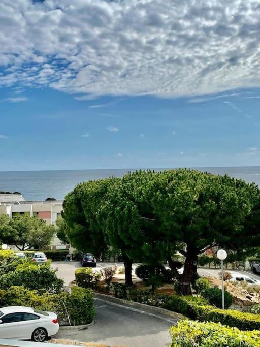Joli studio cosy de 31 M2 Bord de mer Accès PMR 4Personnes La Ciotat Esterno foto
